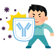 朝礼ネタ:梅雨の時期はカリウムを含んだ食べ物を(例文付き)